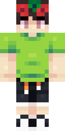 Skin preview for Arycer