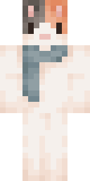 2D skin preview