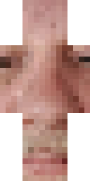2D skin preview