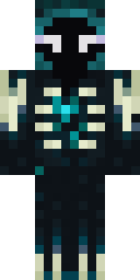 2D skin preview