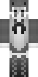 Skin preview for CSINT