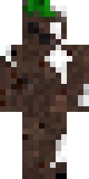 2D skin preview