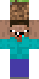 2D skin preview