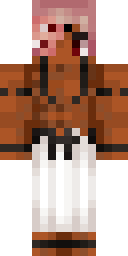 2D skin preview