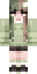 2D skin preview