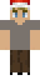 2D skin preview
