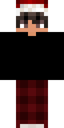 2D skin preview