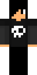 2D skin preview
