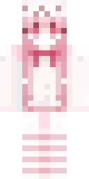 2D skin preview