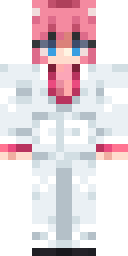 2D skin preview