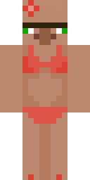 2D skin preview