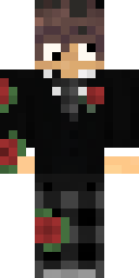 2D skin preview