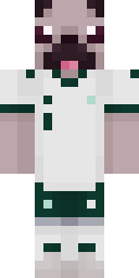 Skin preview for Montoyatr