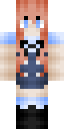 2D skin preview