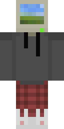 2D skin preview