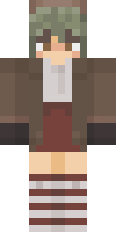 2D skin preview