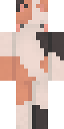 2D skin preview