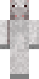 2D skin preview