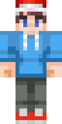 2D skin preview