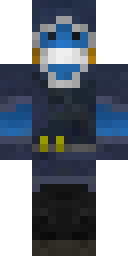 2D skin preview