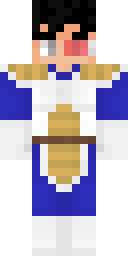 2D skin preview