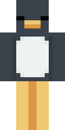 2D skin preview