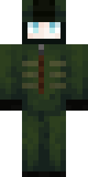 2D skin preview