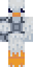 2D skin preview