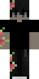 2D skin preview