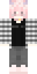 2D skin preview