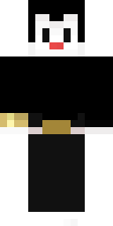 2D skin preview