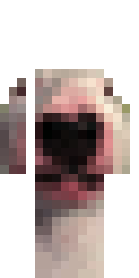 Skin preview for Vanquished0