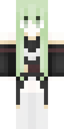 2D skin preview