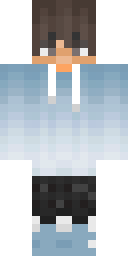 2D skin preview