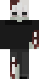 2D skin preview