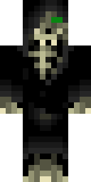 2D skin preview