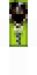 2D skin preview