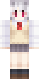 2D skin preview