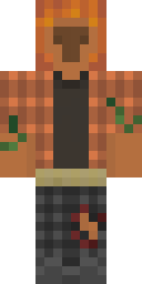 2D skin preview