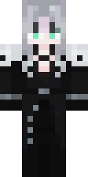 2D skin preview