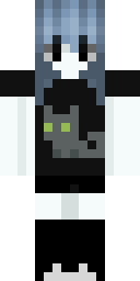 2D skin preview