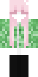 2D skin preview