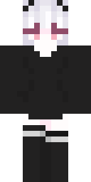 2D skin preview