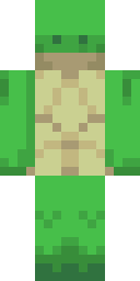 2D skin preview