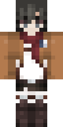 2D skin preview