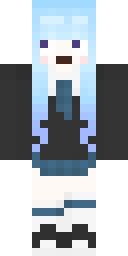 2D skin preview