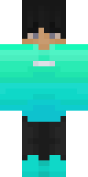 2D skin preview