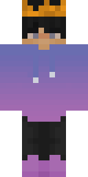 Skin preview for votezbien2027