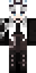 2D skin preview