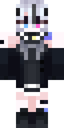 2D skin preview